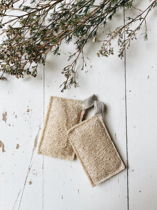 Scouring Pad Loofah (2pcs)