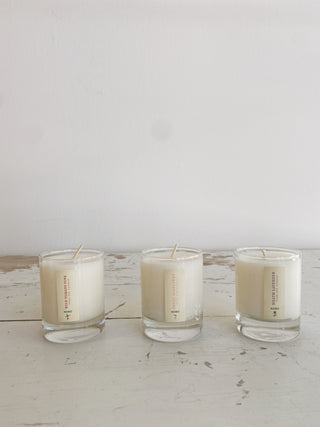 Endless Summer Trio | Plant The Box