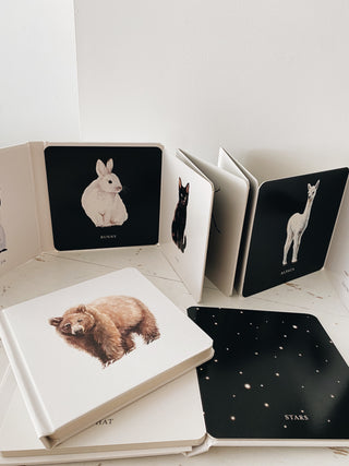 Baby's Tummy Time: Box Set of High-Contrast Fine Art Books