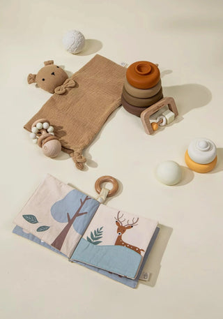 Baby First Toys Gift Box