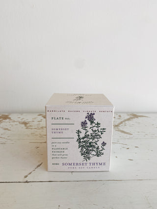 Somerset Thyme Candle | Plant The Box