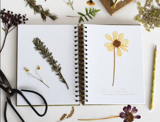 Fern Herbarium Journal - Forest Green