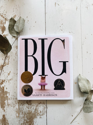 Big by Vashti Harrison