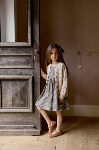 Organic Cotton Tallulah Dress - Mini Gingham Bistre | Jamie Kay