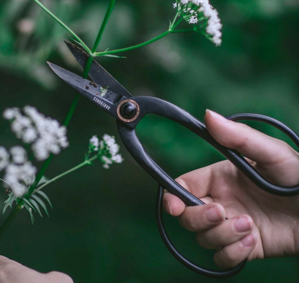 Barebones Living Small Walnut Garden Scissors Farmer's Daughter
