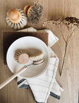 Everyday Dish Brush