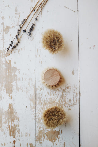 Everyday Dish Brush - Refill