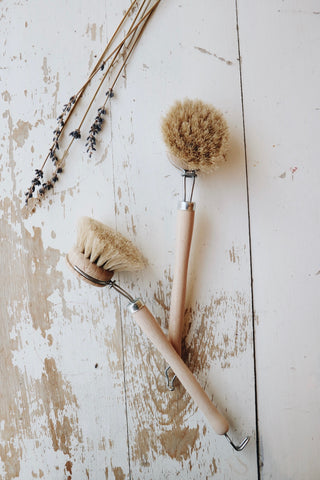 Everyday Dish Brush