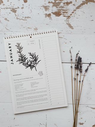 Culinary Herbs Perpetual Calendar