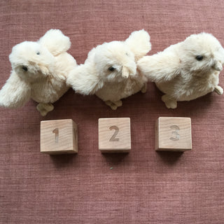 Wee Chicks Plush Toy