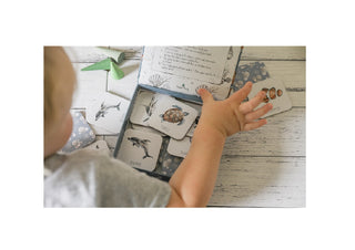 Little Boy playing with Modern Monty's Ocean Memory Card Game