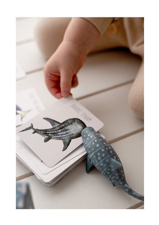 modern monty ocean snap and go fish card on the floor