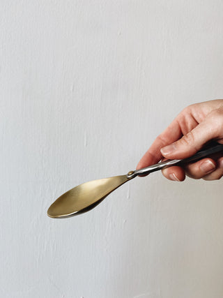 Brass Server with Aluminum Handle