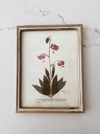 Wood Frame Botanical Wall Art - Lily