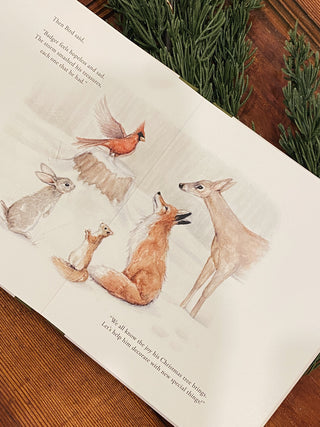 Our Little Adventure at Christmas