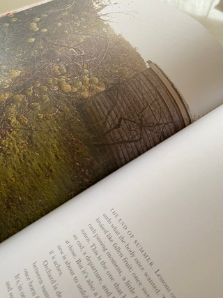 Wild Sweetness: Recipes Inspired By Nature