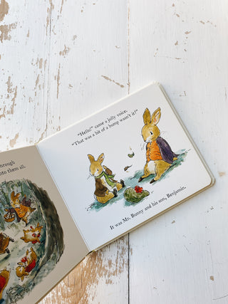 Peter Rabbit Tales: A Pumpkin for Peter