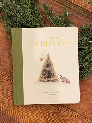 Our Little Adventure at Christmas