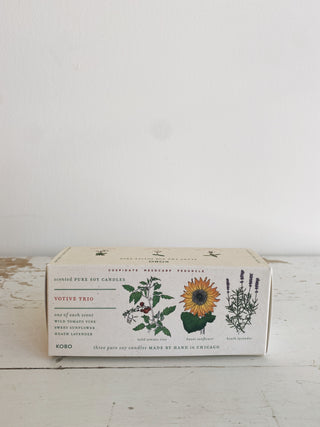 Endless Summer Trio | Plant The Box