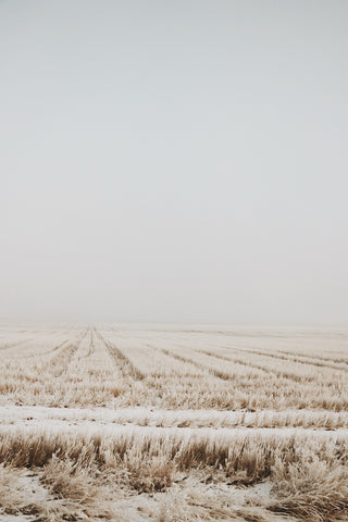 The Prairies, Saskatchewan Canada