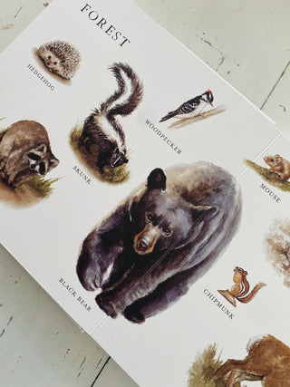 Our Big Book of Animals: First 100 Animal Words for Language Development, including Farm, Jungle, Pets, Bugs, and More