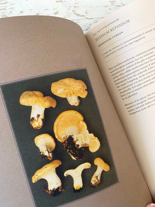 A Passion for Mushrooms: A comprehensive cookbook and foraging field guide for mushroom enthusiasts