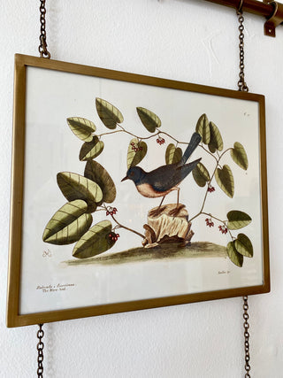 Adjustable Hanging Brass Frame