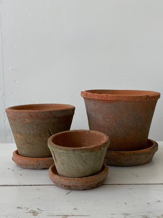 Aged Clay Cactus Pot Large
