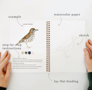 Birds Watercolour Book