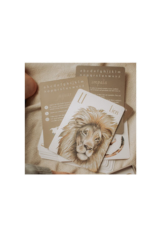 Modern Monty Animal Alphabet Flash Cards  showing the Lion Card