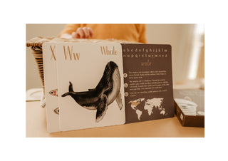 Modern Monty Animal Alphabet Flash Cards showing the Whale Card