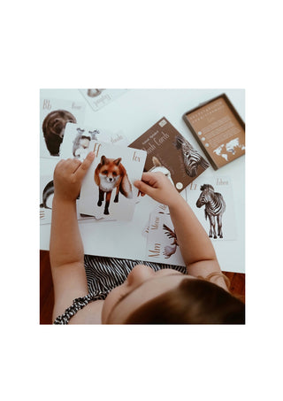 Little girl looking at the fox card from Modern Monty Animal Alphabet Flash Cards