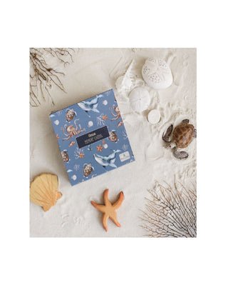 Modern Monty's Ocean Memory Card Game on the sand with shells and toy turtle around 