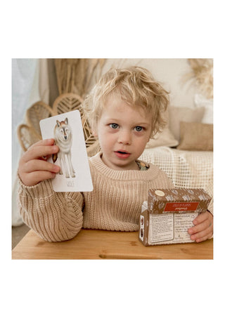 Little boy holding a card from the modern monty woodland snap and go card game